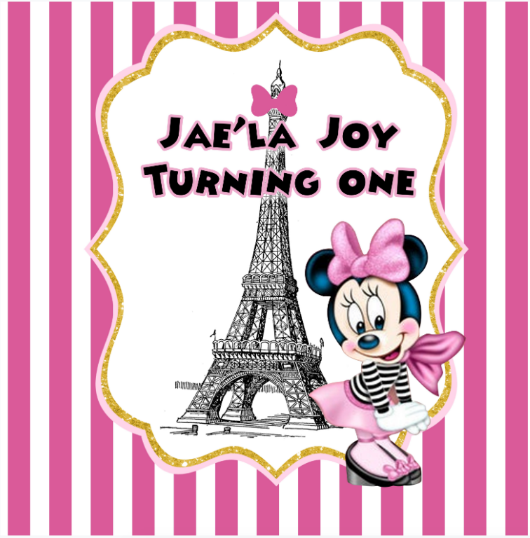 MINNIE MOUSE / PARIS   BACKDROP - Twins Print