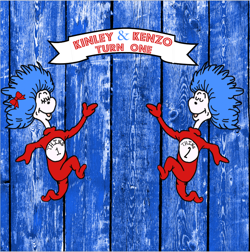 DR seuss 1 thing 2 thing  BACKDROP - Twins Print