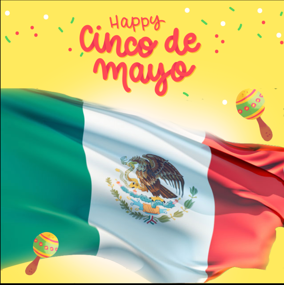 CINCO DE MAYO  BACKDROP 001 - Twins Print